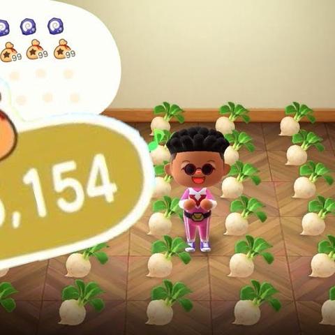 《动森》大头菜价格波动预测：精准抛售时机揭秘