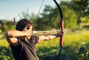 射箭游戏盘点：揭秘十大必玩射箭竞技盛宴