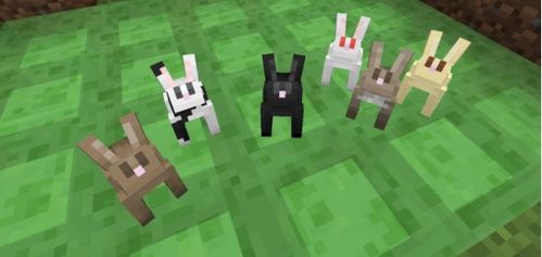 《黑白兔13-14t攻略解析：深度揭秘新战术价值》