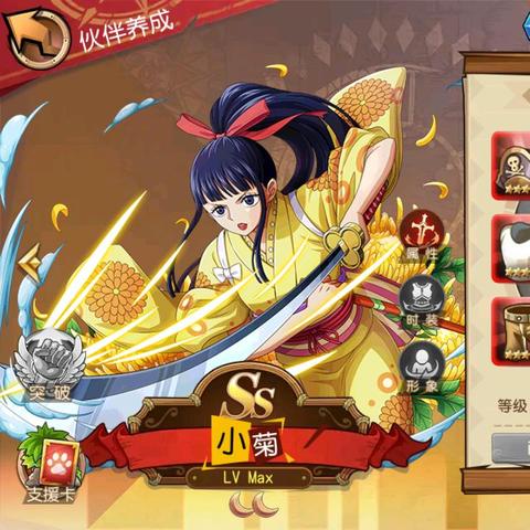 航海王启航：小菊攻略秘籍，全面升级技巧解析