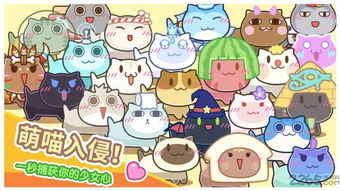 猫旅馆物语高效捕鼠技巧全解析