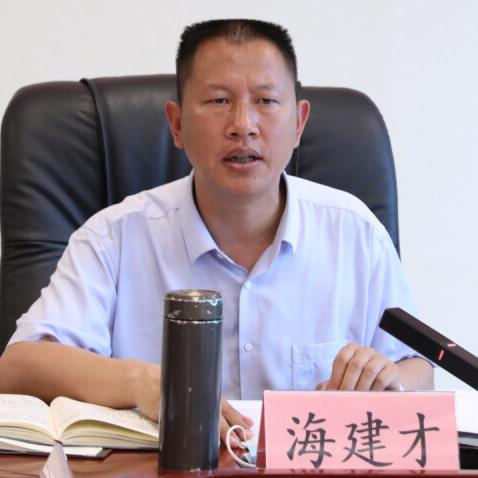 2024职业导向游戏精选：权威排行榜深度解析