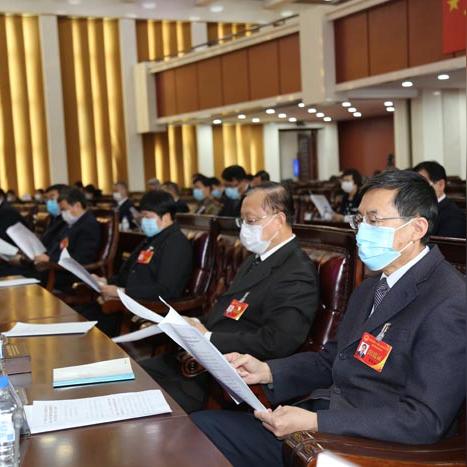 十大疫病爆发模拟游戏盘点：探索病毒危机新视角