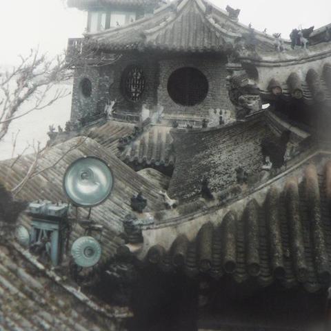 仙丹炼制秘籍：修真必备的全新修炼指南