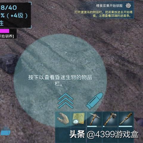 新手村攻略：萌新养成必备秘籍解锁