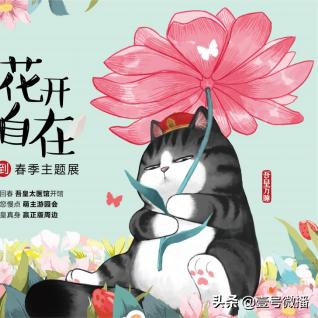热门猫游戏盘点：人气排行，趣味无限推荐！