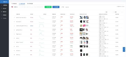 2026年私服站长运营实战，如何低成本获取精准玩家流量？