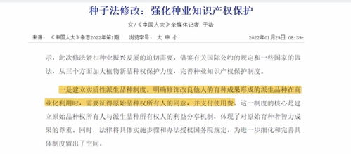 USPTO专利类型全攻略，游戏开发者如何精准布局知识产权？