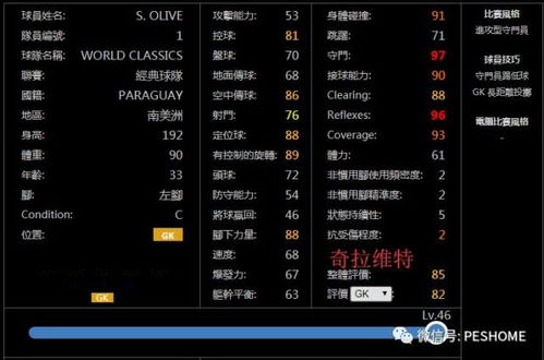 揭秘传奇名字特殊符号，防重名代码与顶号实战技巧