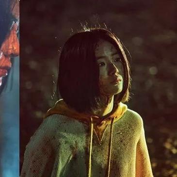 破碎之镜全通关秘籍，魔女复苏新攻略解析