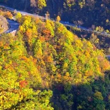 热门上帝视角游戏盘点：深度体验新视角盛宴