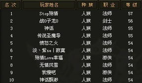 2024年竞技场射击巅峰排行，揭秘新锐游戏价值解析