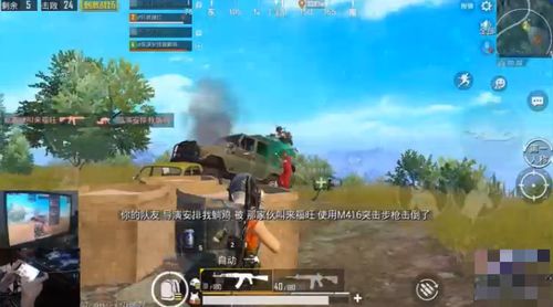 五虎枪威震战场，战略版顶配出击新篇章