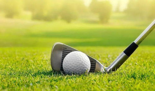 2024年热门迷你高尔夫盘点：探索趣味新境界