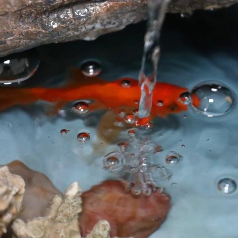 2025年DNF AI搬砖新风口，付费辅助实战收益与避坑指南