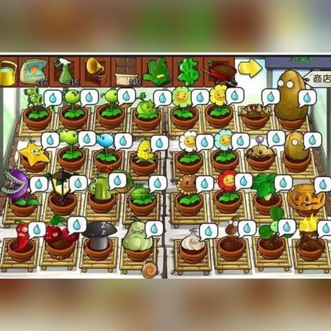 热门僵尸游戏盘点：揭秘哪些好玩人气爆棚