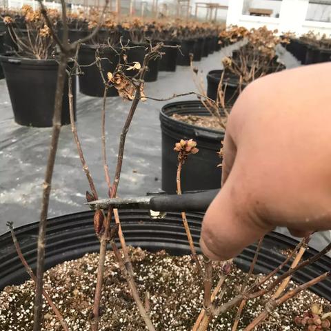 下载量爆表！盘点热门应用游戏秘籍大公开