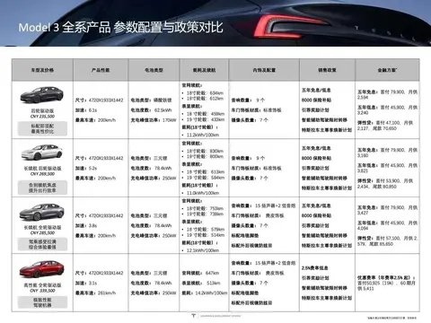 2025龙种肉车类型深度解析，如何选择最强生存流派？