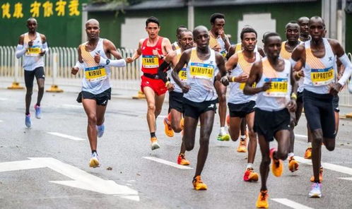 热门马拉松游戏盘点：人气精选，畅玩推荐必看