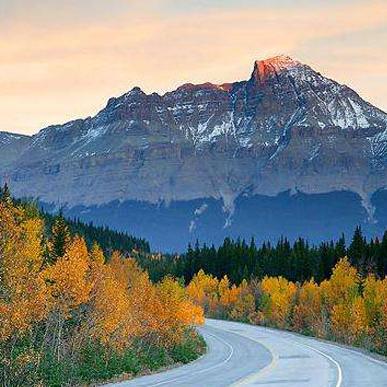 文字游戏盘点：精选佳作，沉浸体验，畅玩必选