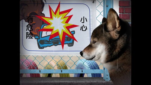 2024年度热门狗游戏盘点：十大必玩佳作推荐