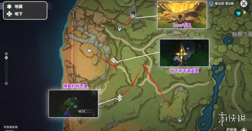 树王圣体菇哪里刷多？2026最新全图采集路线与技巧