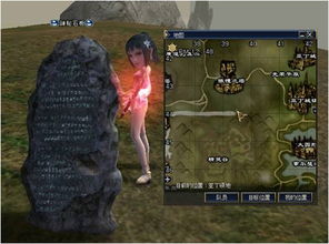 天堂2精华怎么用最划算？灵魂弹与圣神之魂深度实战指南