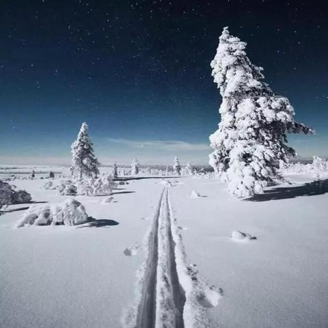 人气弹射游戏排行榜TOP10，哪个最好玩？