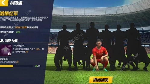 11人团队技能全解析，最佳搭配指南