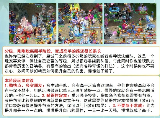 梦西游新手入门，快速上手必备指南