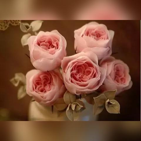 十大经典催泪游戏下载推荐，触动心灵的佳作排行