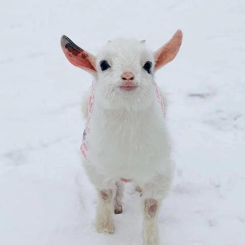 2024哲理游戏Top10，高人气耐玩不踩雷的都在这