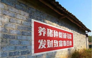 解忧小村落：种树致富指南