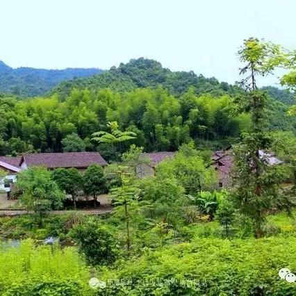 解忧小村落：23级躺平攻略