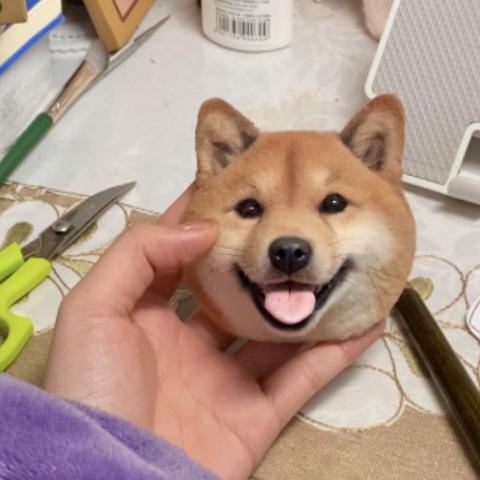 宠物游戏有哪些 2024宠物游戏排行榜