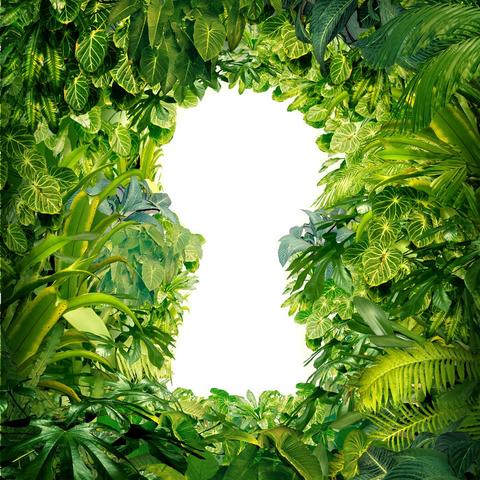 生存战争：肉超玩法全解析