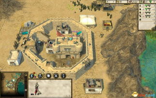 要塞十字军东征2高胜率攻略，开局暴兵与铁三角布局详解