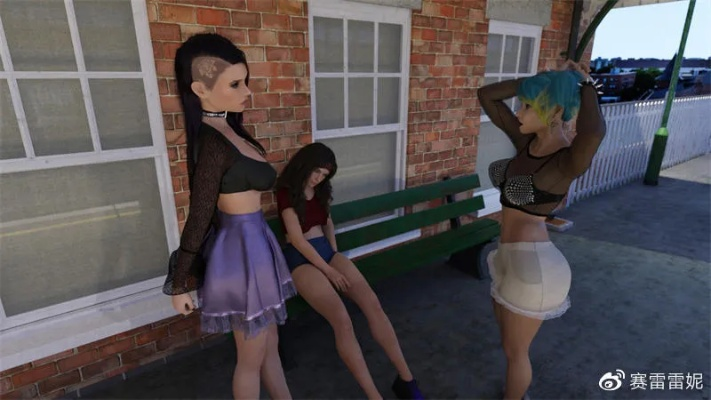 2025欧美成人小游戏避坑指南，汉化版下载与3D画质深度评测