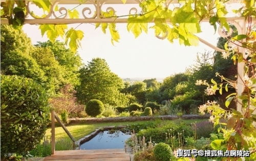 别再瞎练级！2026年最强精灵类型深度解析与T0级配队思路