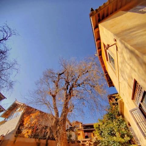 青潮游戏避坑指南，新手如何快速组建最强配队？