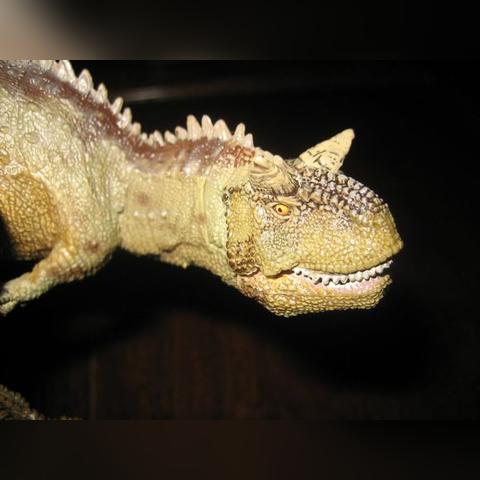 剑与骑士团：火蜥蜴与牛头人王攻略