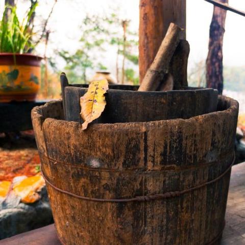 领地人生官网深度指南，2026年从下载到建国的实战攻略