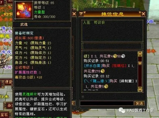 2025天龙八部17173搬砖实战，平民如何日入千金？