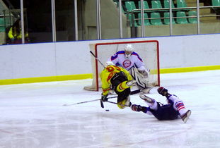 冰球游戏有哪些好玩 十大耐玩冰球游戏盘点