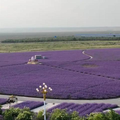 揭秘黑色沙漠韩服，2026季服如何快速毕业与日赚亿银？