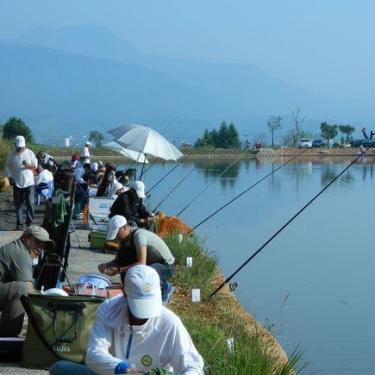 揭秘钓鱼发烧友攻略，如何用低成本饵料钓获巨型青鱼？