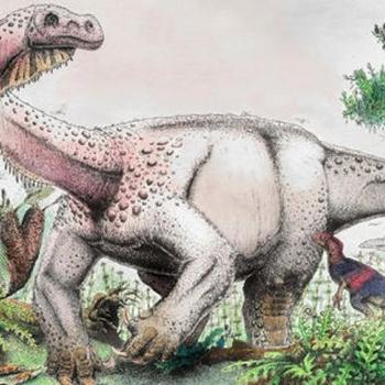 别再乱合成了！恐龙的黎明最强阵容与稀有恐龙获取技巧