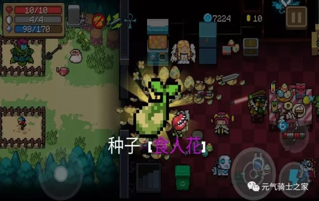 元气骑士魔力竹笋强度测评，植物学家通关神器的秘密