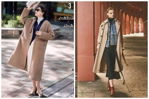 2026年网页私服4f45类型推荐，如何避开雷区找到极品服？