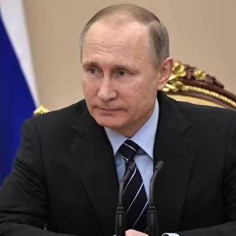 宝贝坦克2026最强搭配推荐，新手如何快速上分？